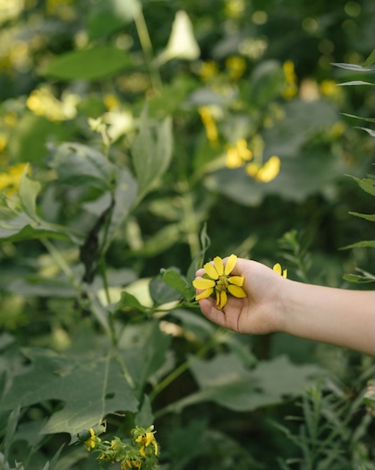 By and By Kids portrait